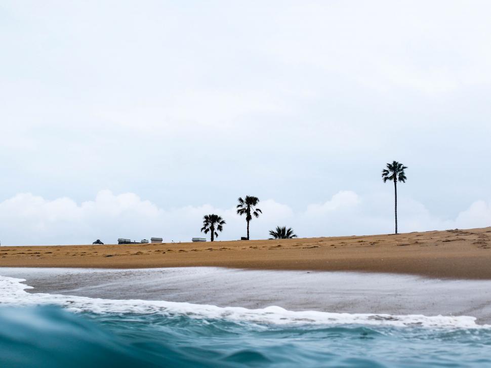 Free Image of Sandy Beach With Palm Trees on a Cloudy Day 