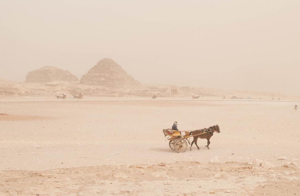 Free Image of camel arabian camel animal ungulate mammal desert sand head travel 