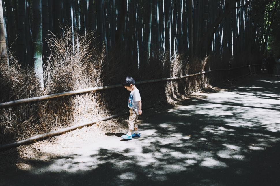 Free Image of Little Boy Standing Next to Fence in Woods 