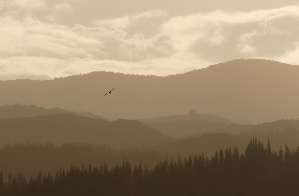 Free Image of Bird Flying Over Mountain Range 