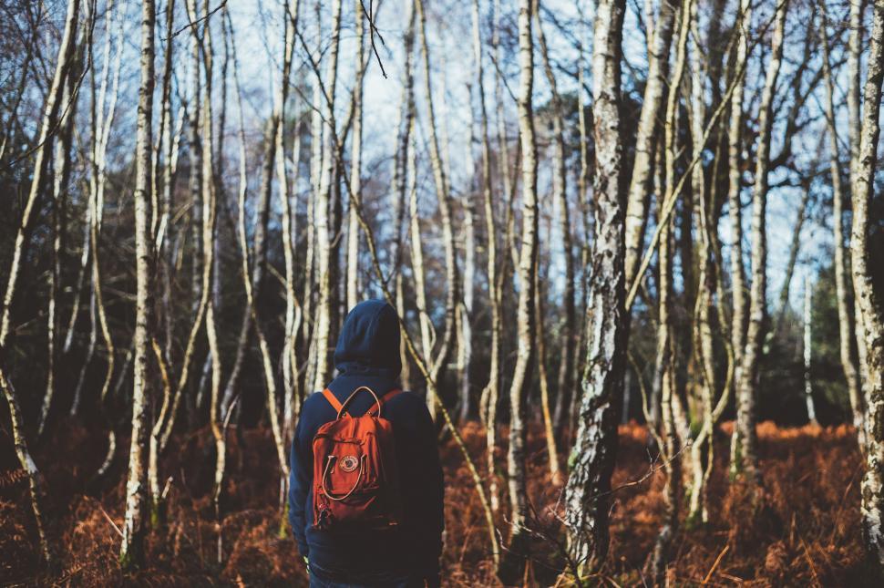 Free Image of Person Walking Through Forest With Backpack 