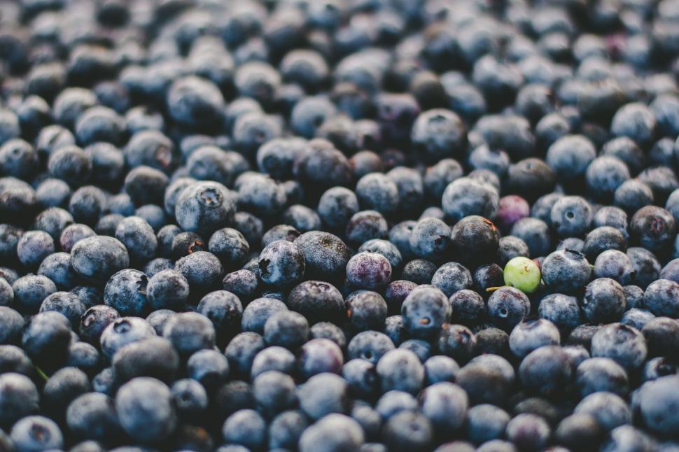 Free Image of Close-Up of Fresh Blueberries 