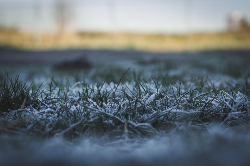 Free Image of Frozen Grass and Snow 