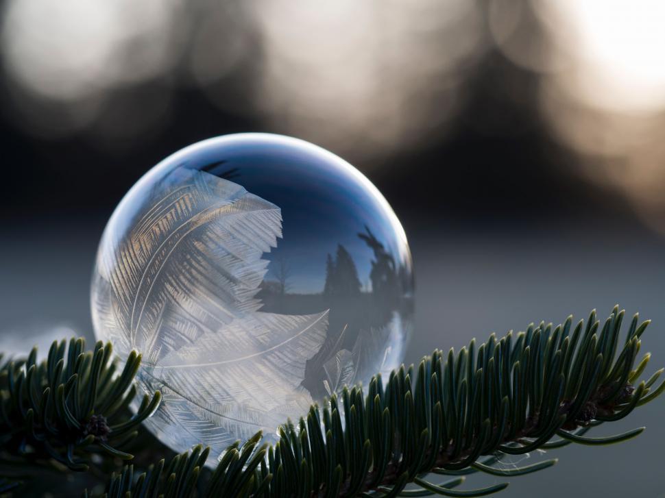 Free Image of Crystal Ball on Top of Pine Tree 