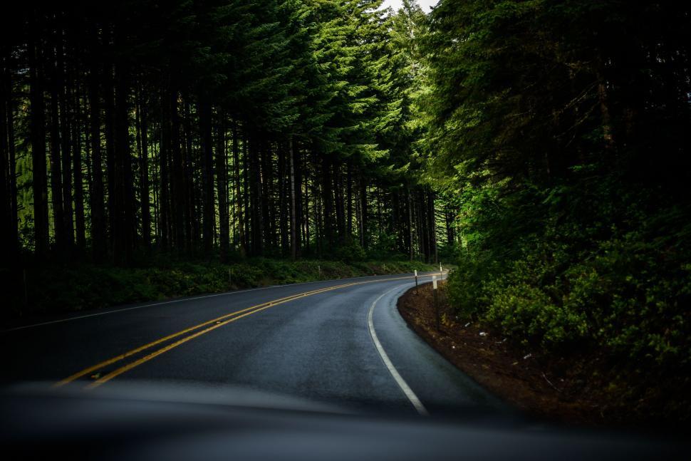 Free Image of Dark Road Cutting Through Forest at Night 