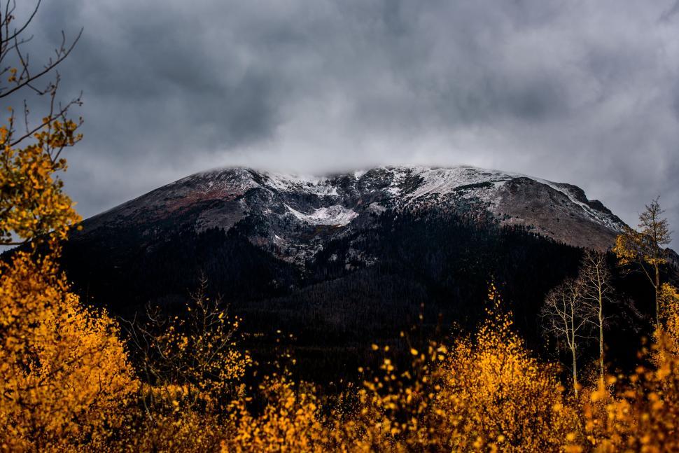 Free Image of Snow-covered Mountain Surrounded by Yellow Trees 