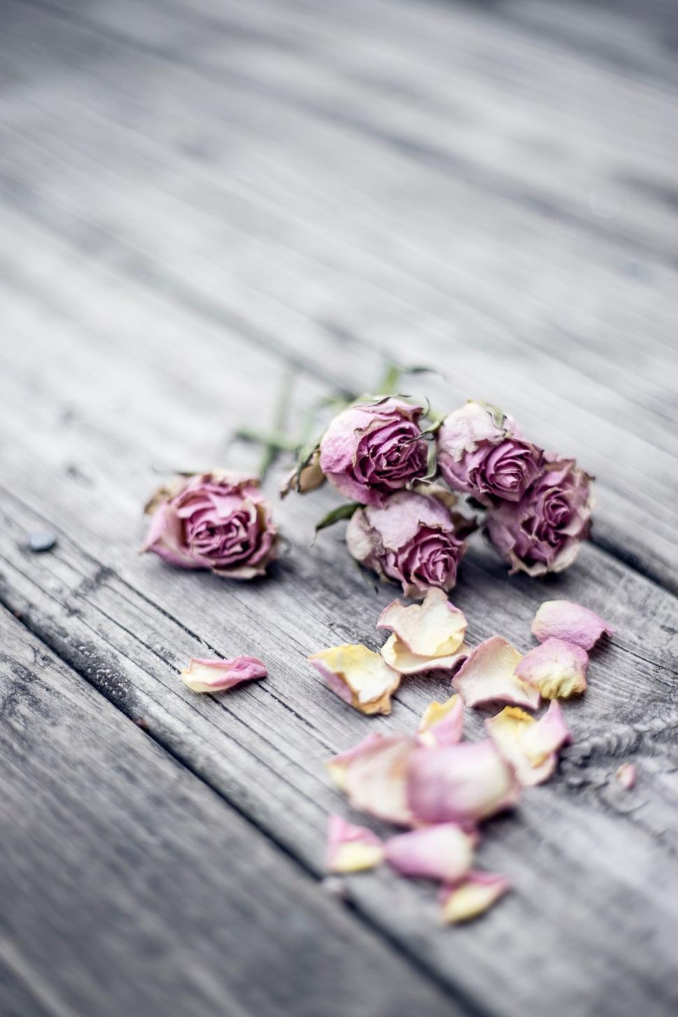 Free Image of Dried Flowers on Wooden Table 