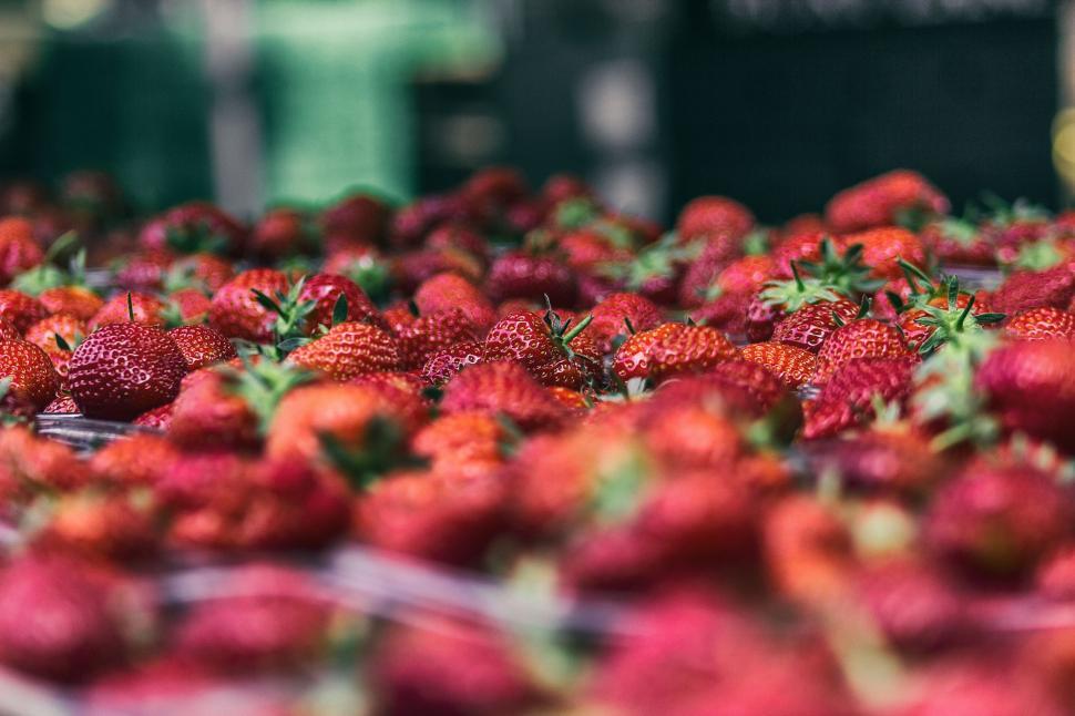 Free Image of A Bunch of Strawberries Sitting on a Table 