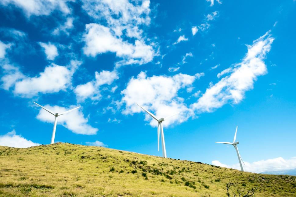 Free Image of Group of Wind Turbines on Grassy Hill 