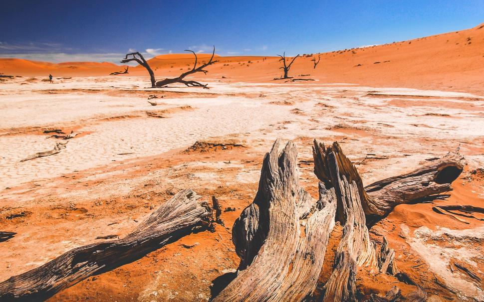 Free Image of A Desolate Dead Tree Standing in a Desert Landscape 
