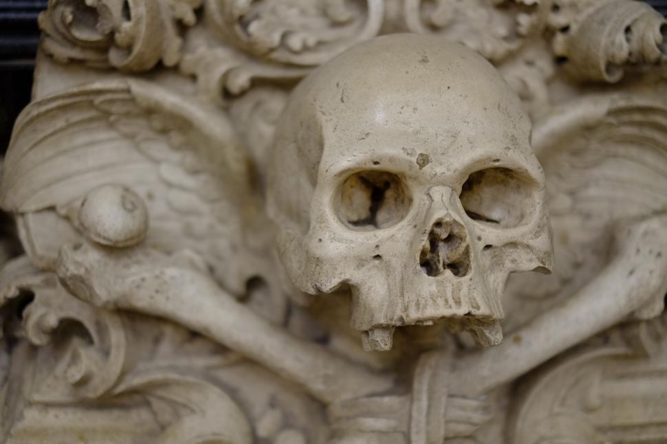Free Image of Close Up of a Skull on a Wall 