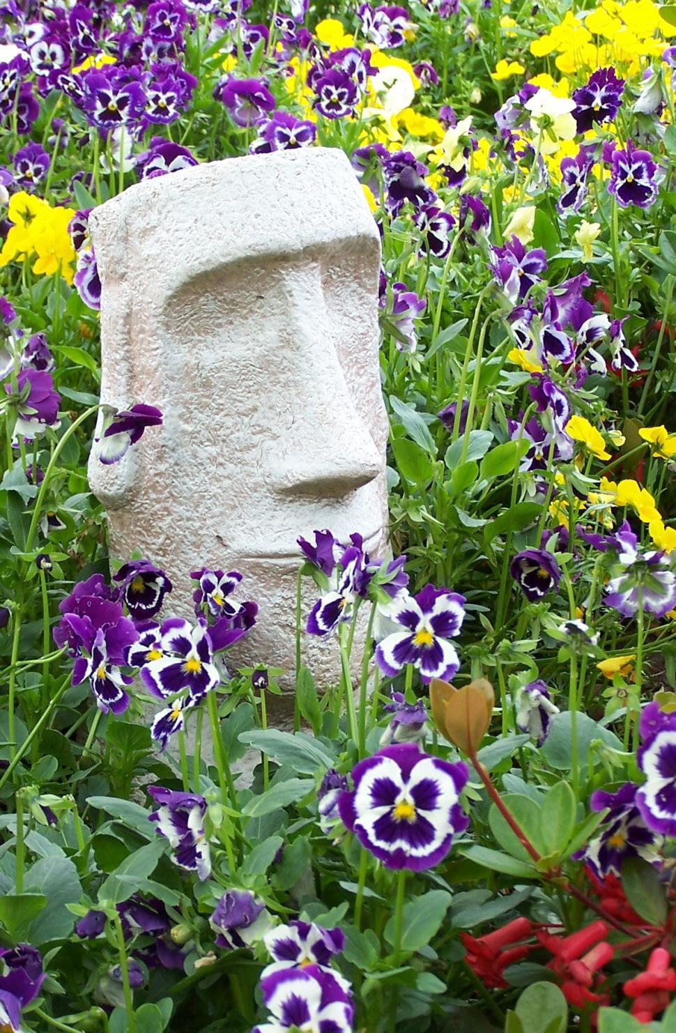 Free Image of Blooming Garden With Purple and Yellow Flowers 
