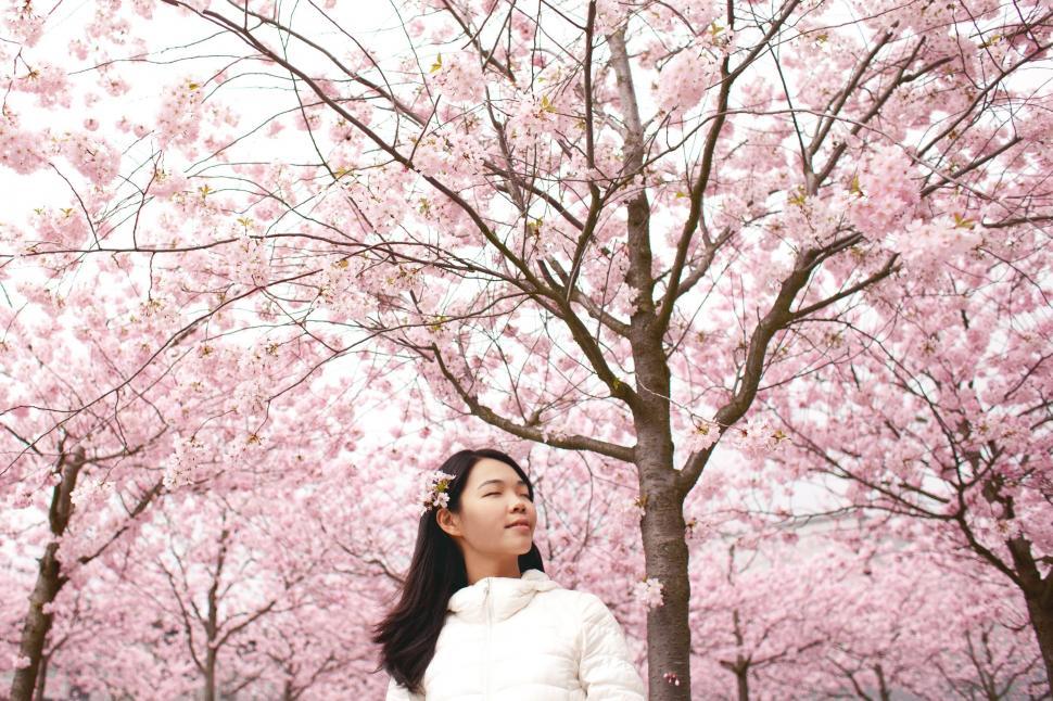 Free Image of Woman Standing in Front of Tree With Pink Flowers 