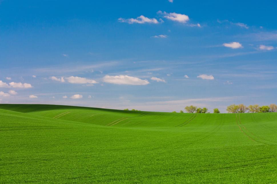 Free Image of Green Grass Field Under Blue Sky 