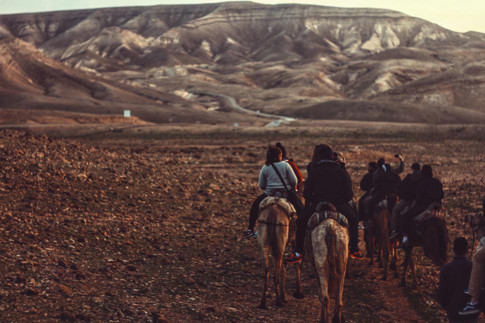 Free Image of Group of People Riding on Horse Backs 
