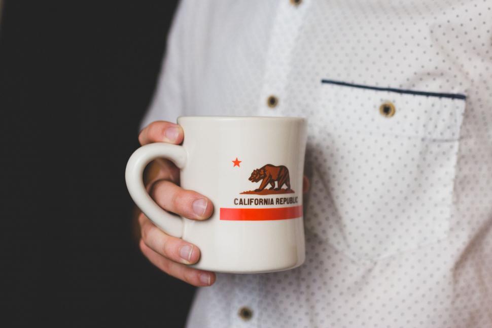 Free Image of Person Holding a Coffee Mug With Bear Design 