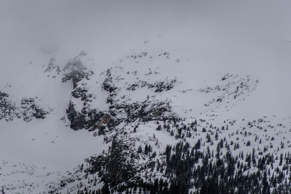 Free Image of Snow-Covered Mountain With Trees 