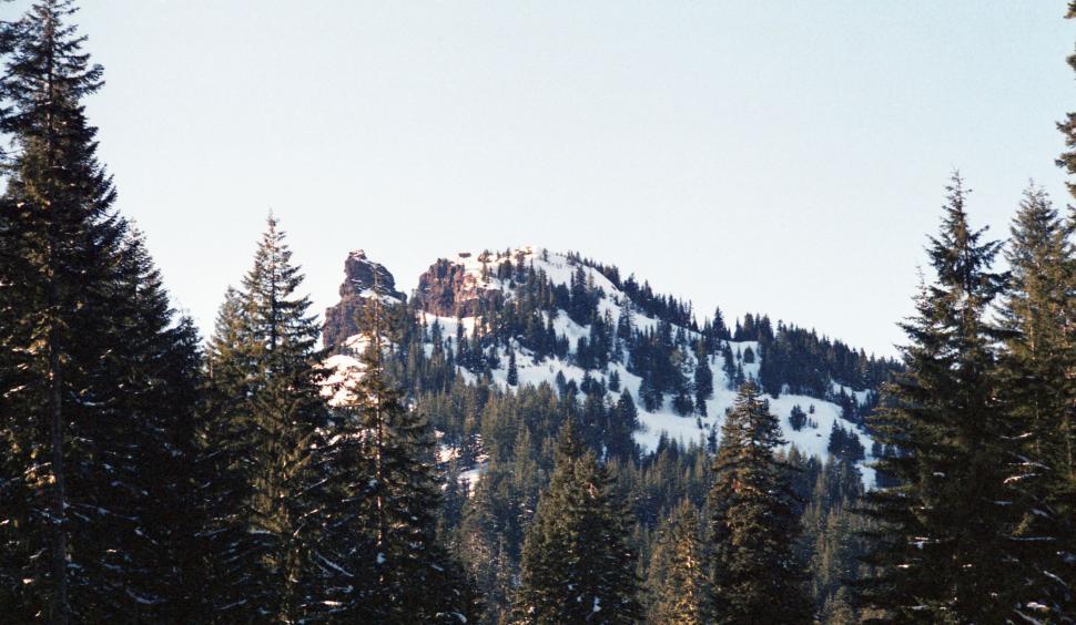 Free Image of Snow Covered Mountain With Trees in Foreground 
