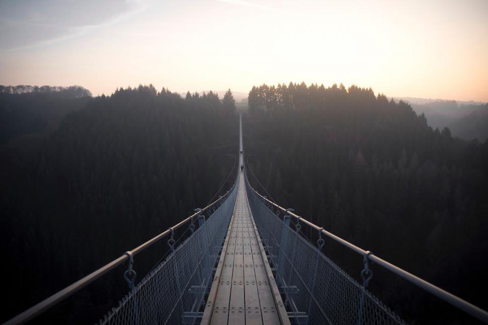 Free Image of Long Suspension Bridge Over Forest 