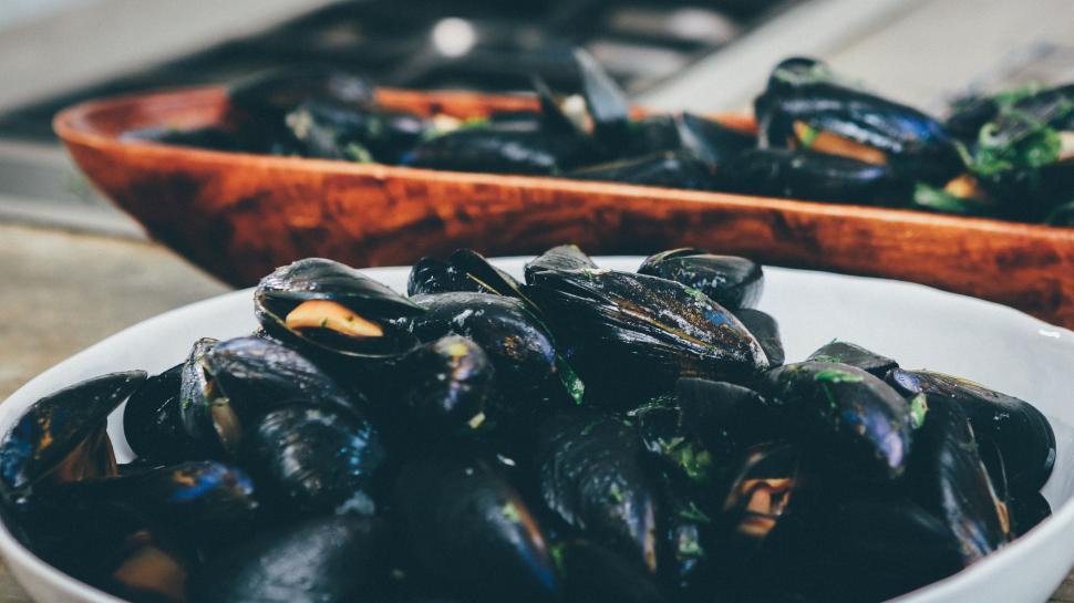 Free Image of White Bowl Filled With Mussels on Table 
