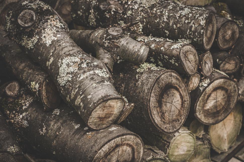 Free Image of A Pile of Logs Arranged Neatly 