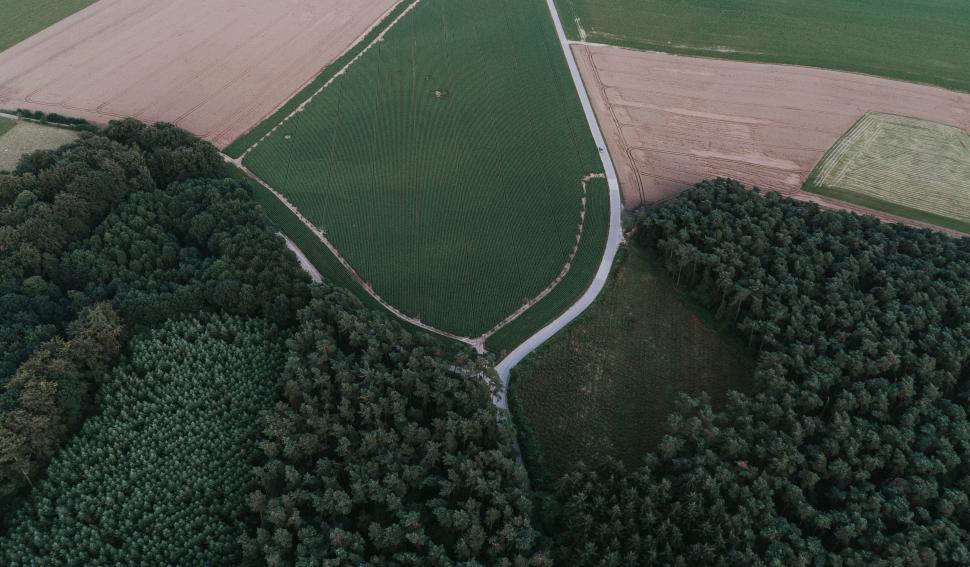 Free Image of Aerial View of Field and Trees 