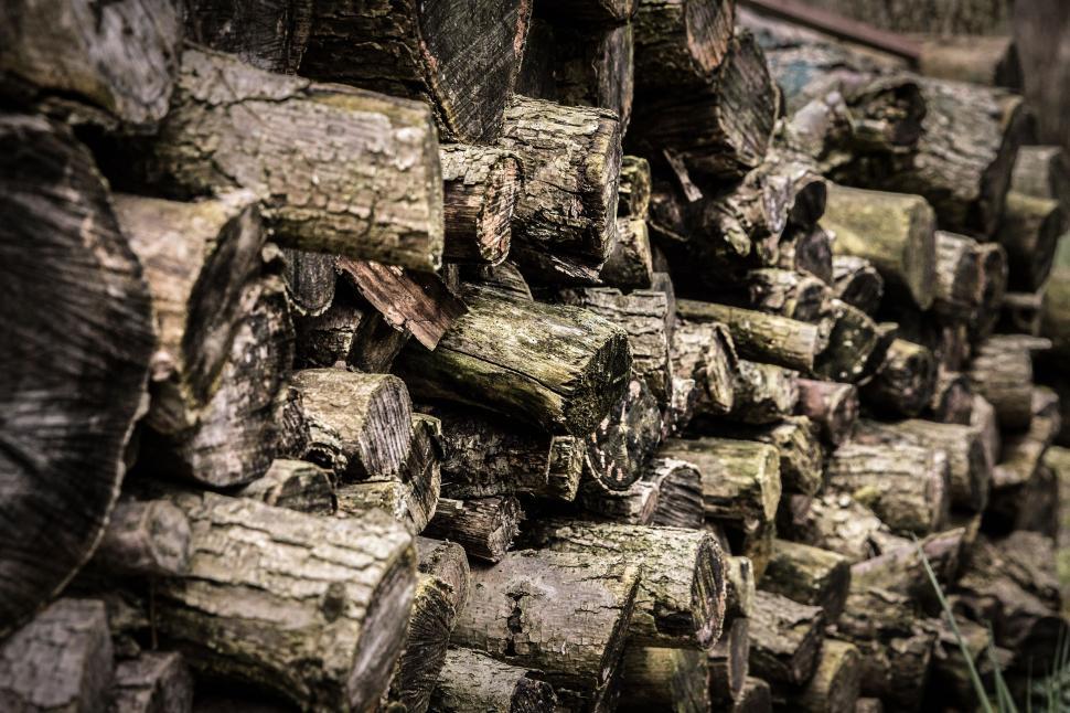 Free Image of Stack of Logs in a Woodpile 