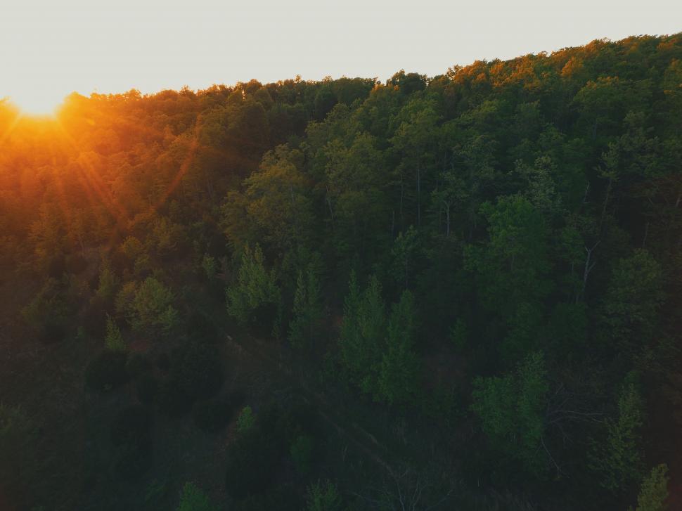 Free Image of Sun Setting Over Forested Area 