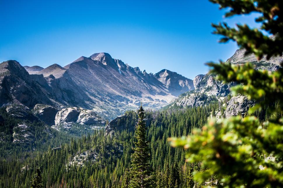 Free Image of Mountain Range With Pine Trees 