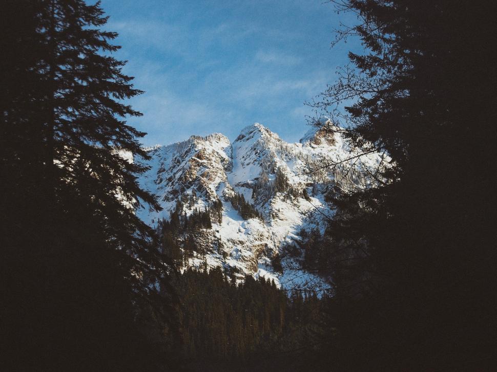 Free Image of Snow Covered Mountain Peeking Through Trees 