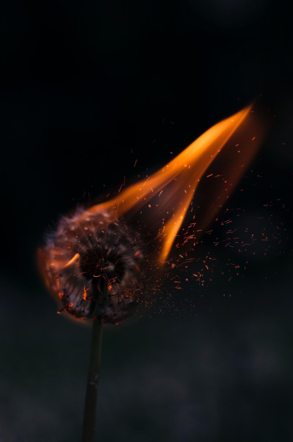 Free Image of A Burning Matchstick in Black Background 