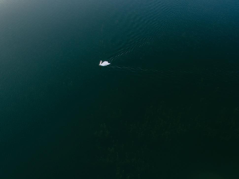 Free Image of Small Boat Floating in Vast Water 