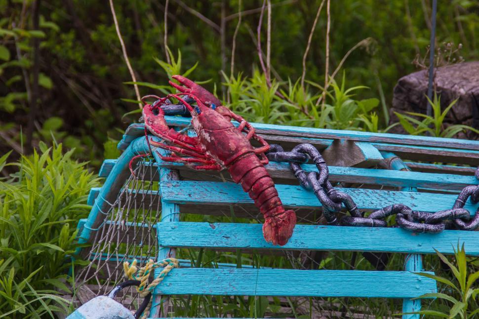 Free Image of Chained Lobster on Blue Bench 