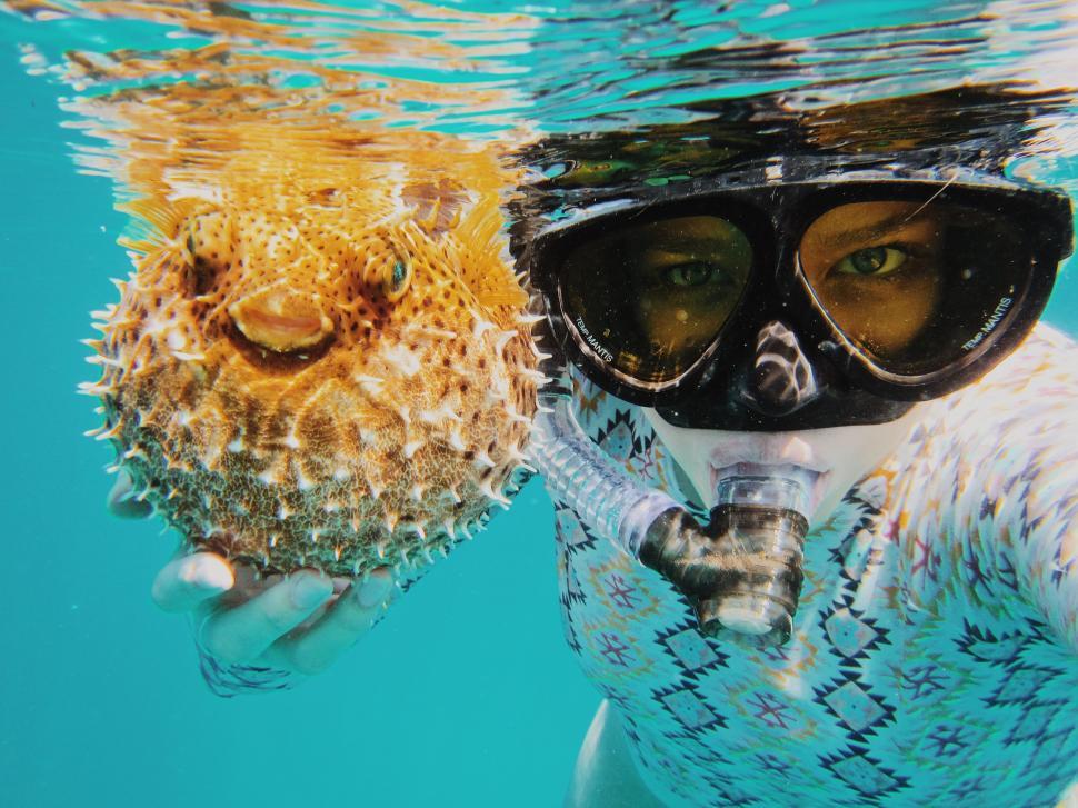 Free Image of Person Wearing Mask and Goggles Underwater 