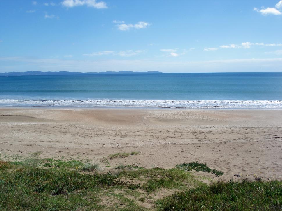 Download Free Stock Photo of Seashore in New Zealand 