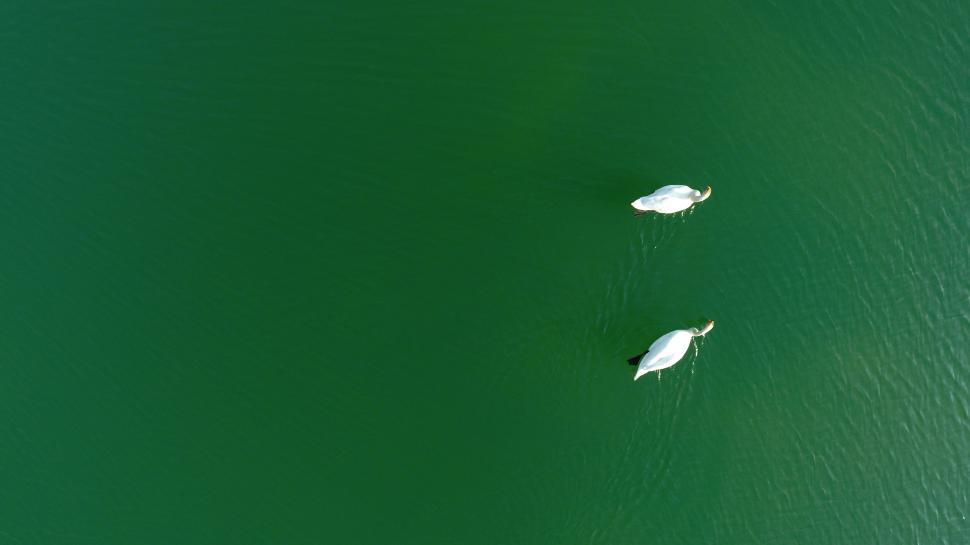 Free Image of Two Boats Floating in Water 