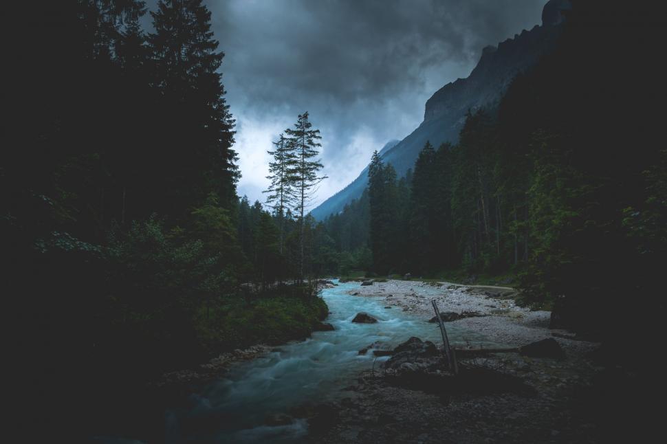 Free Image of River Flowing Through Forest Under Cloudy Sky 
