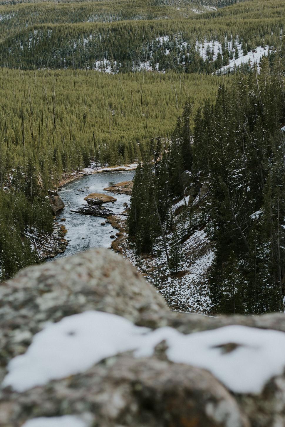 Free Image of Snow-Covered Forest With River Flowing Through 