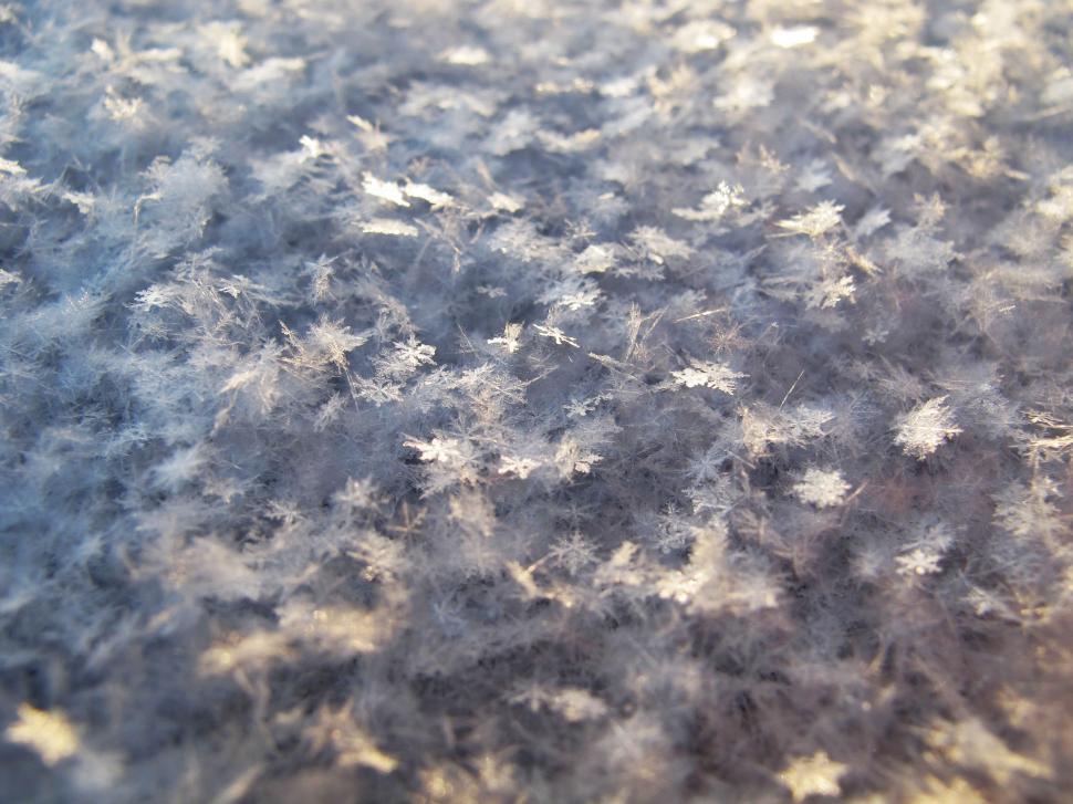 Free Image of Close Up of Snow Flakes on the Ground 