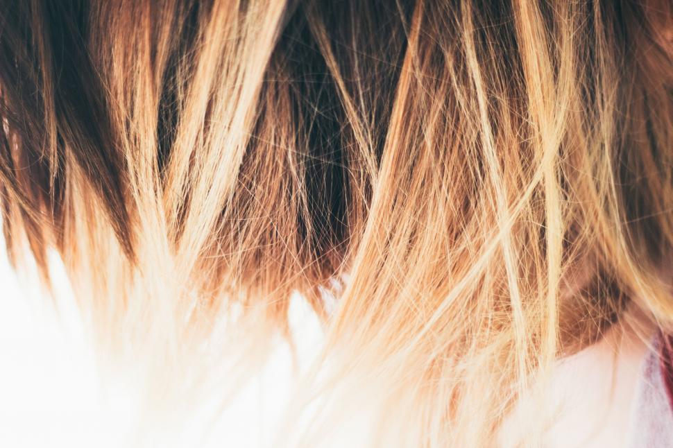 Free Image of Womans Head With Long Hair 