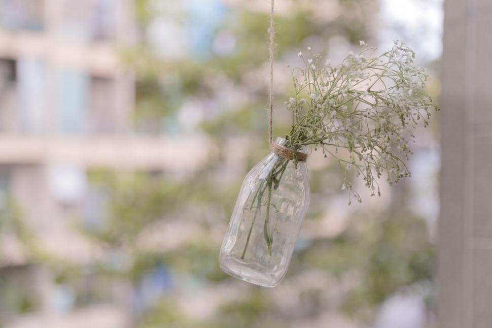 Free Image of Glass Jar Hanging From a String With a Plant 