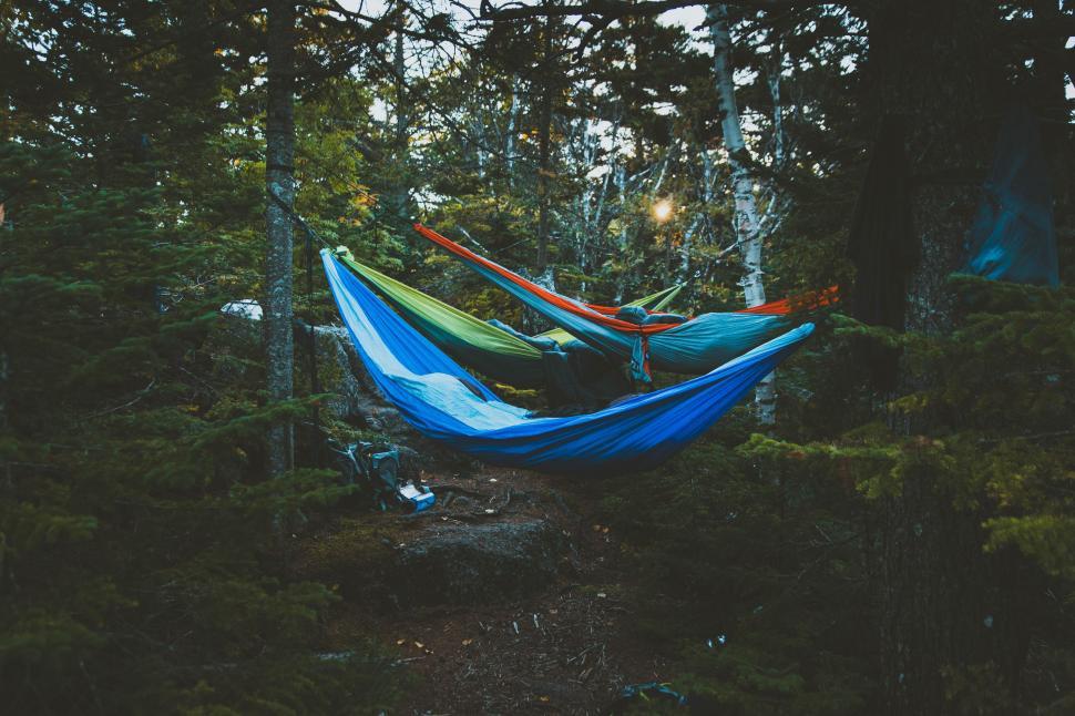 Free Image of Blue Hammock Hanging in Forest 