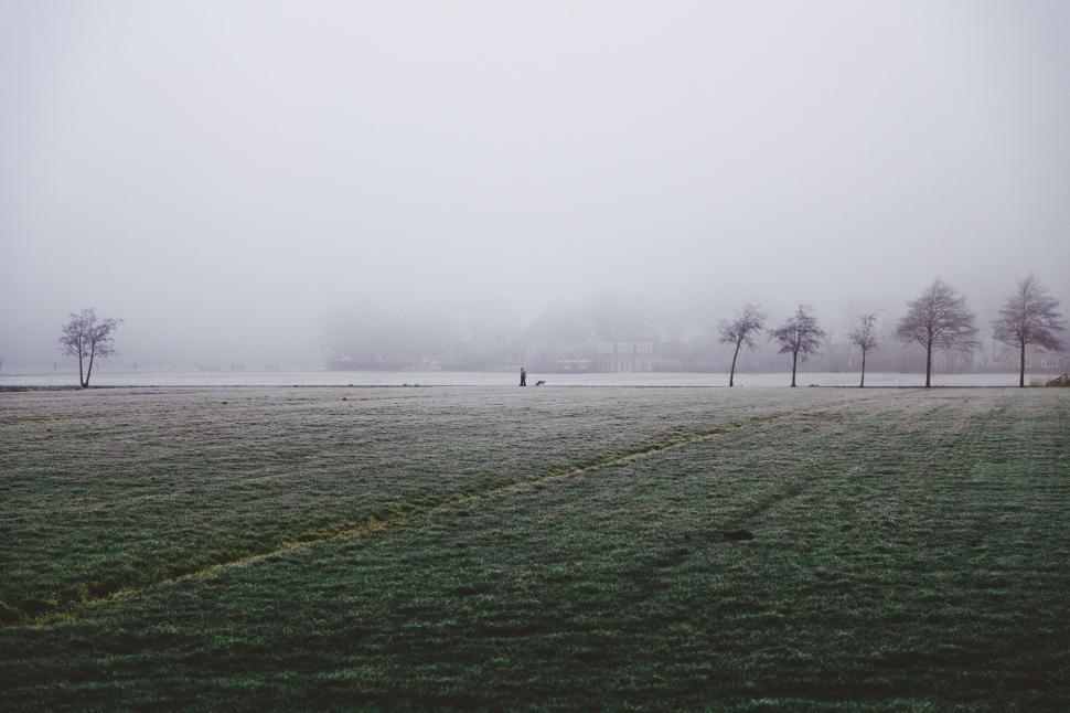 Free Image of Misty Field With Distant Trees 