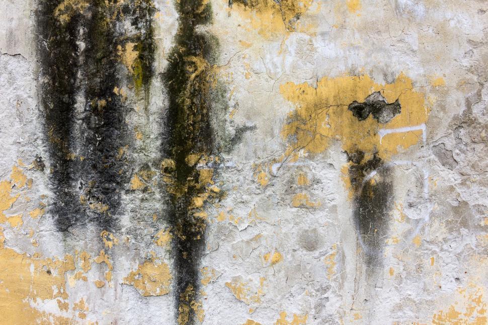 Free Image of Yellow and White Wall With Black Paint 