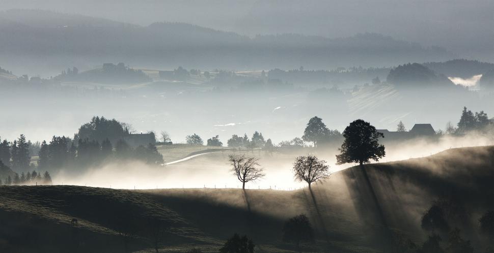 Free Image of Foggy Landscape in Monochrome 
