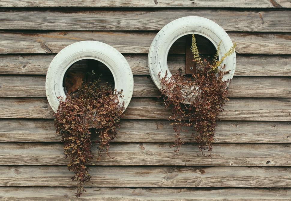 Free Image of Two White Vases With Plants Growing Out of Them 
