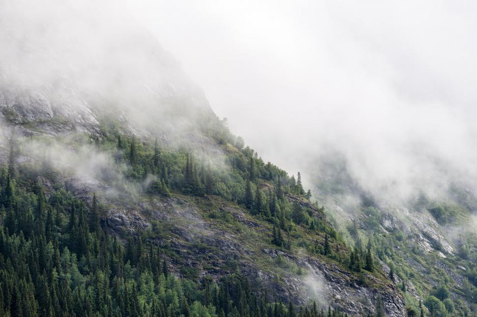 Free Image of Mountain Covered in Clouds and Trees 