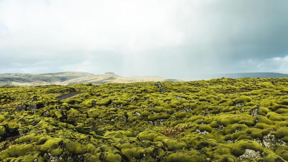 Free Image of Vast Green Moss Field With Distant Mountains 