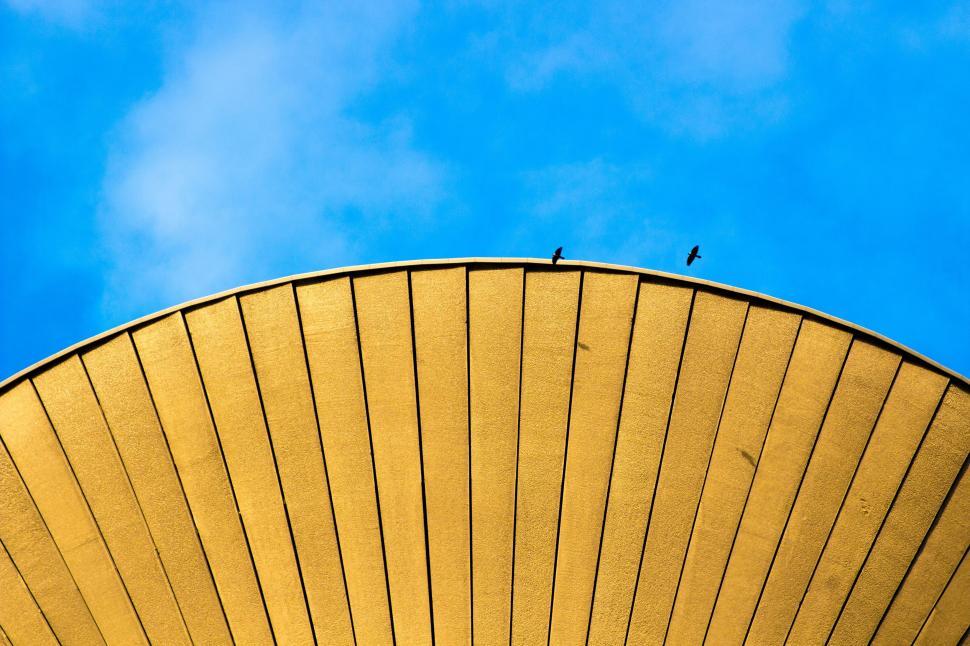Free Image of Bird Perched on Top of Building 