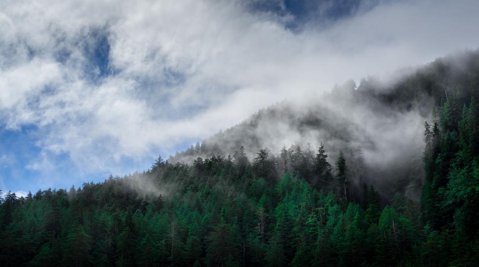 Free Image of Cloud-covered Mountain and Trees Under Blue Sky 